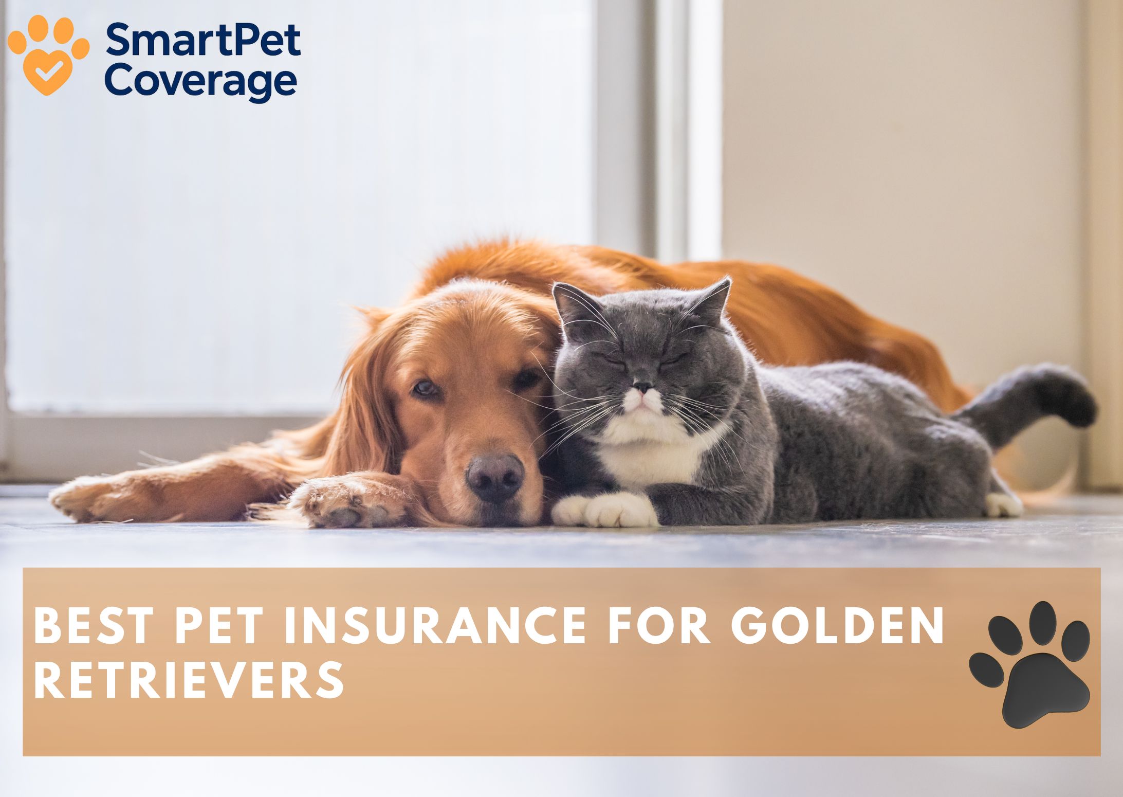 Best Pet Insurance for Golden Retrievers
