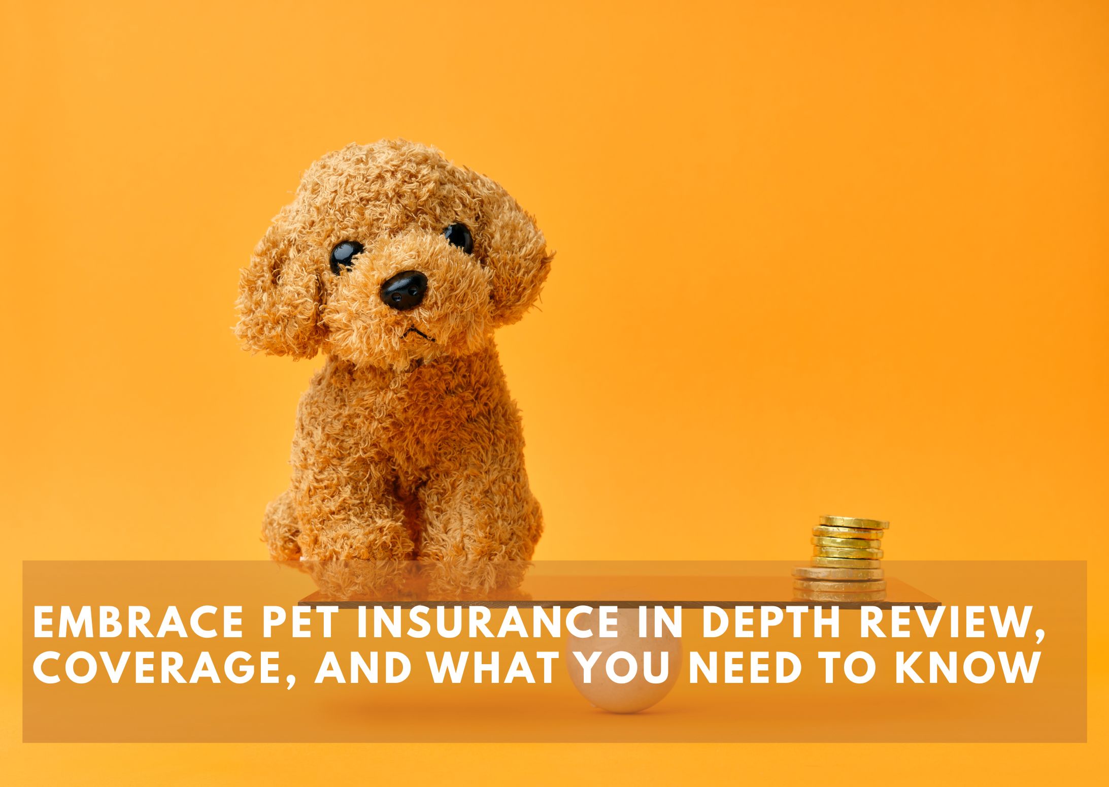 Embrace Pet Insurance In Depth Review, Coverage, and What You Need to Know