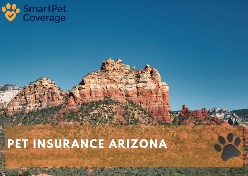 Pet Insurance Arizona