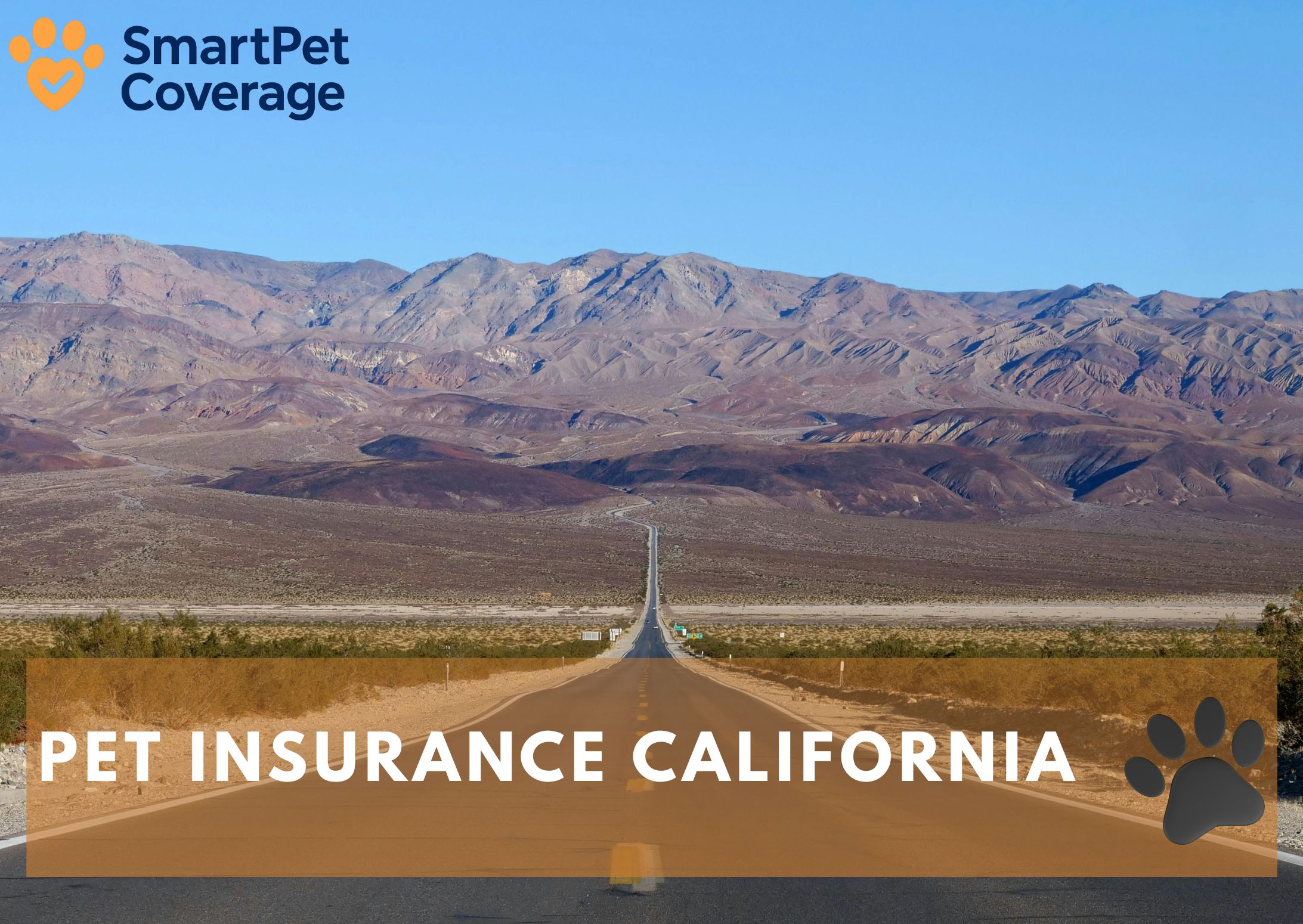 Pet Insurance California