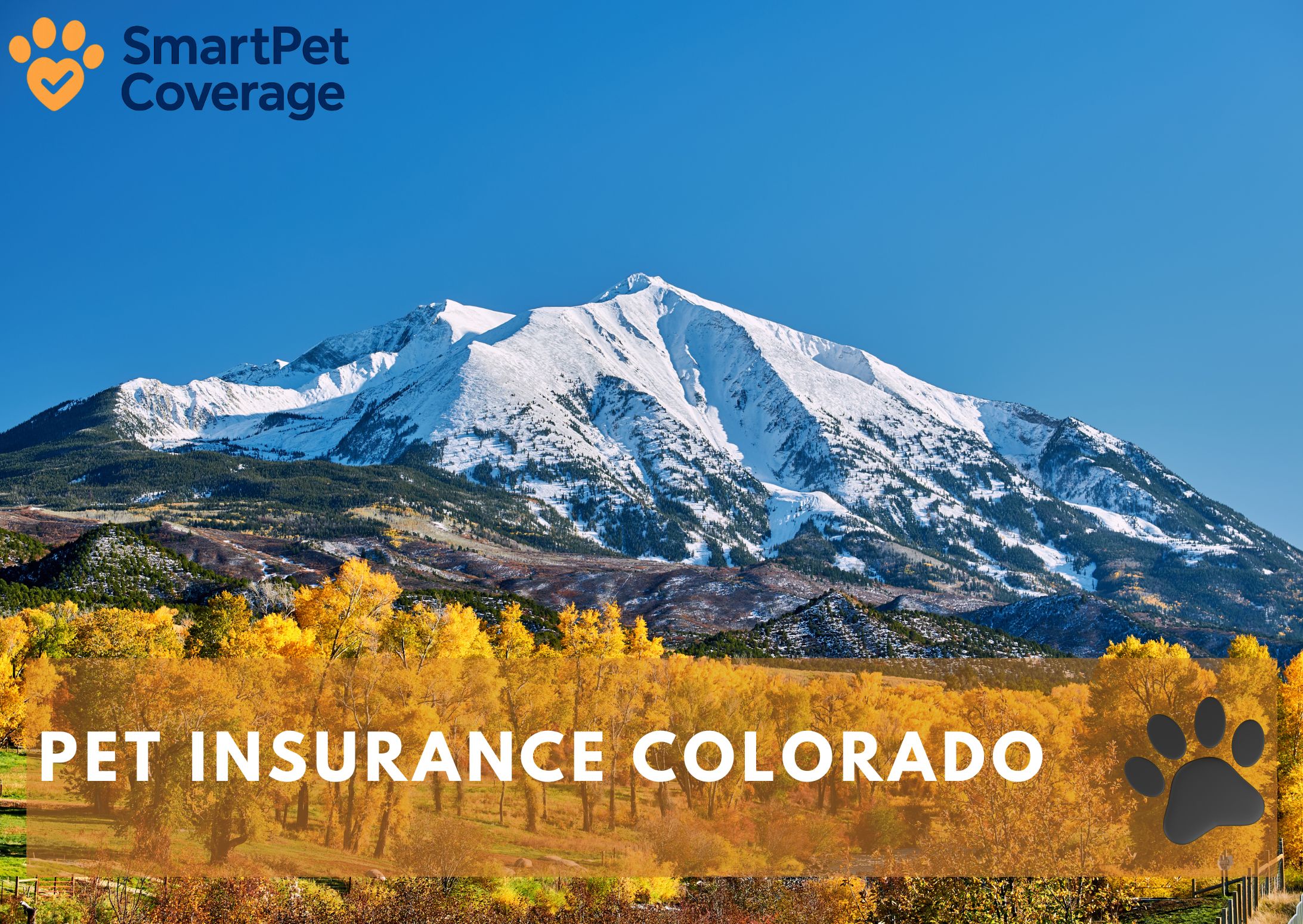 Pet Insurance Colorado