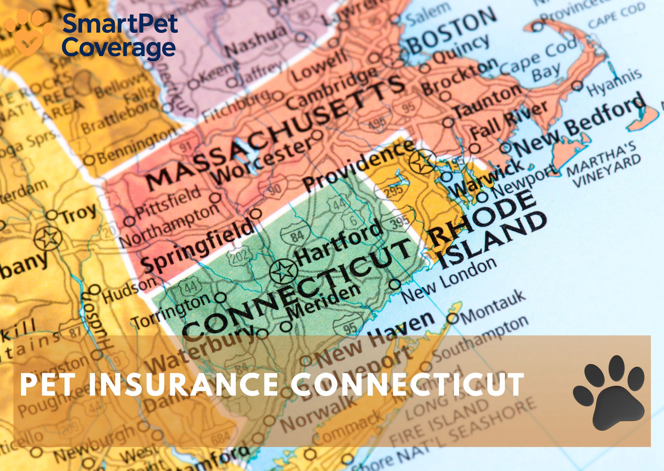 Pet Insurance Connecticut