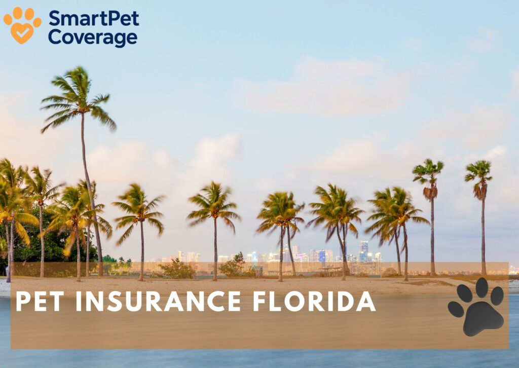 Pet Insurance Florida