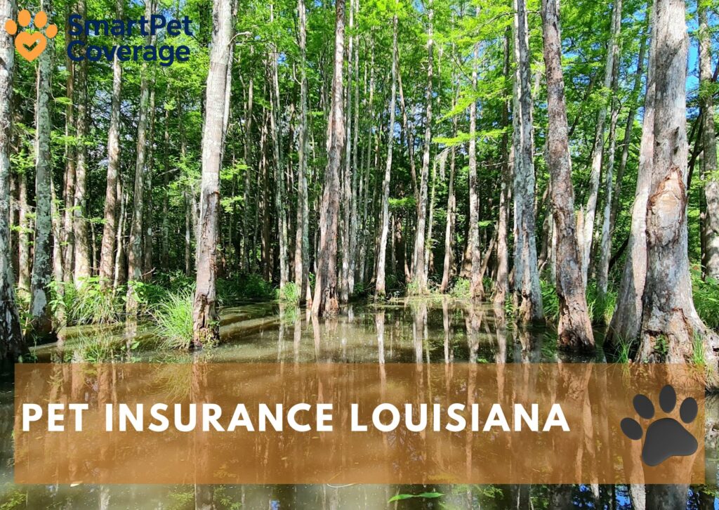 Pet Insurance Louisiana