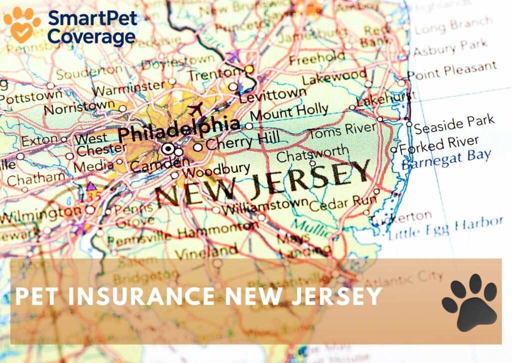 Pet Insurance New Jersey