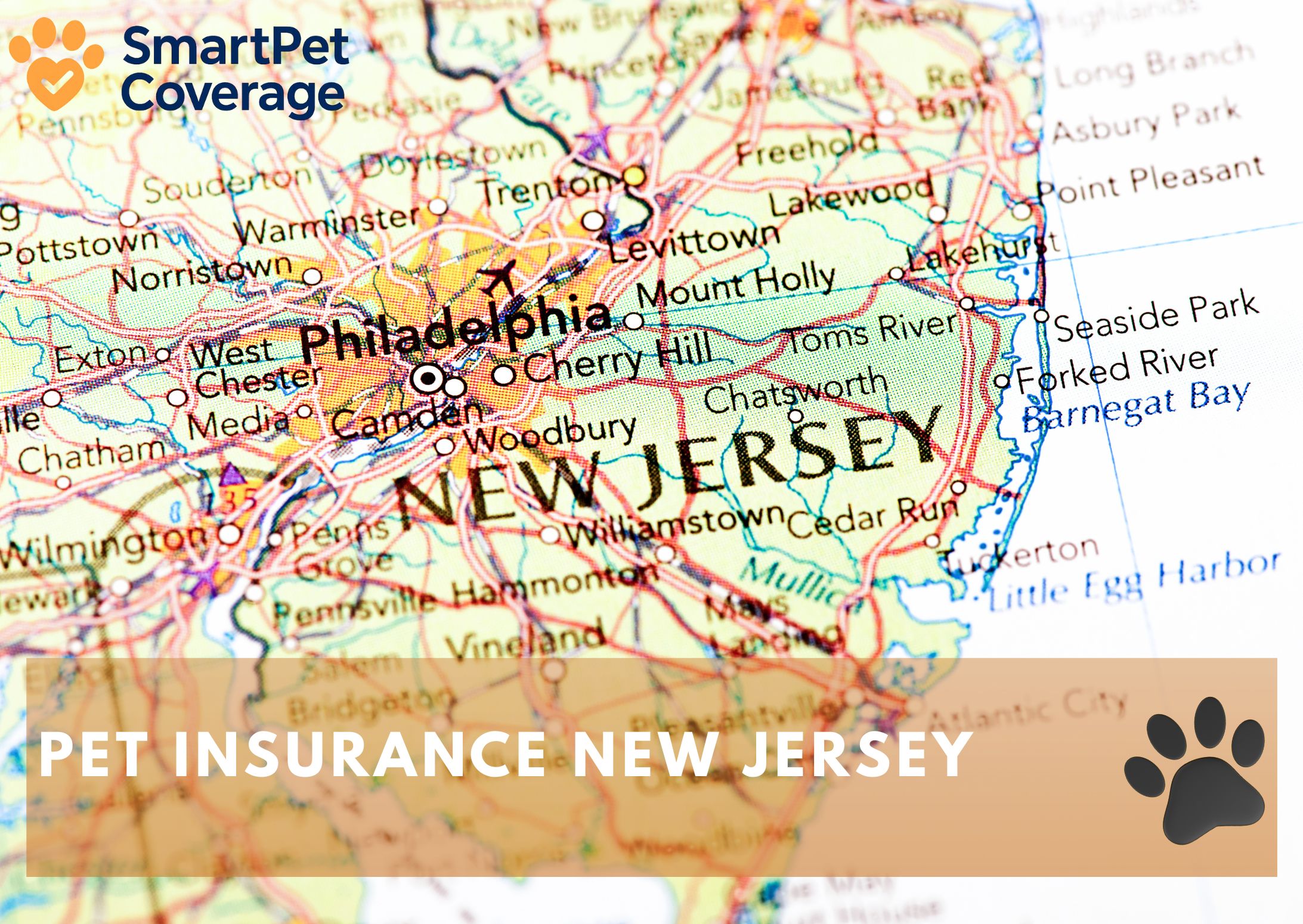 Pet Insurance New Jersey