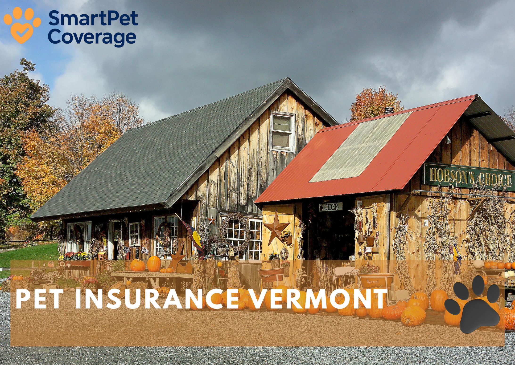 Pet Insurance Vermont