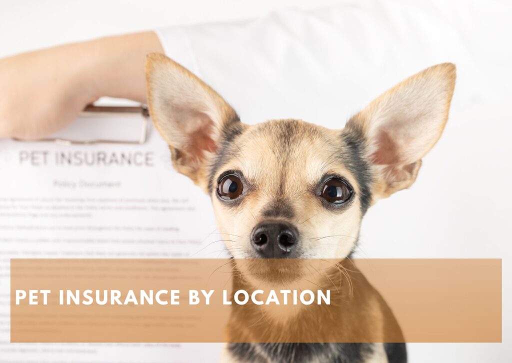 Pet Insurance by Location – Find the Best Options in Your State