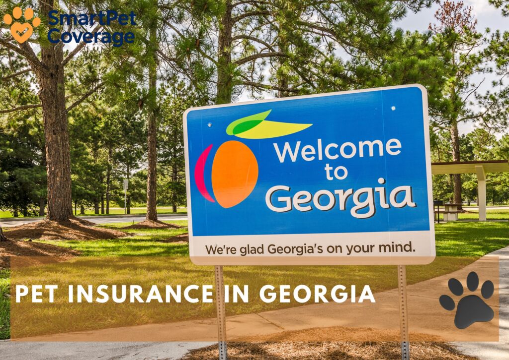 Pet Insurance in Georgia