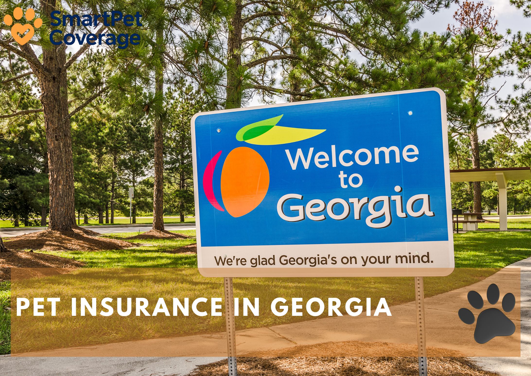 Pet Insurance in Georgia