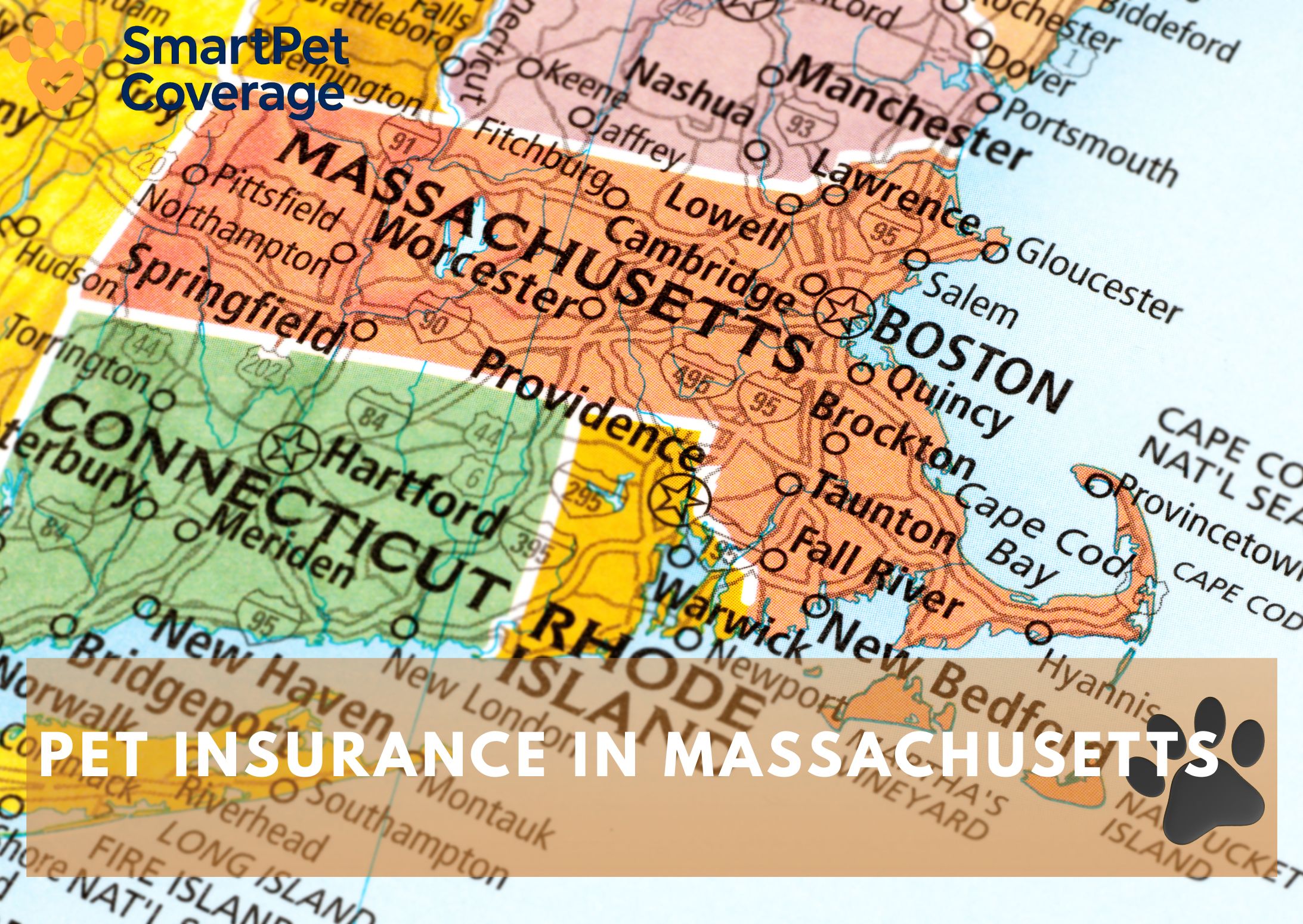 Pet Insurance in Massachusetts