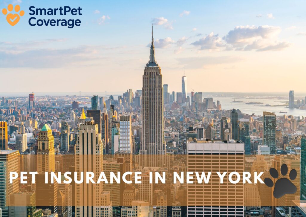 Pet Insurance in New York
