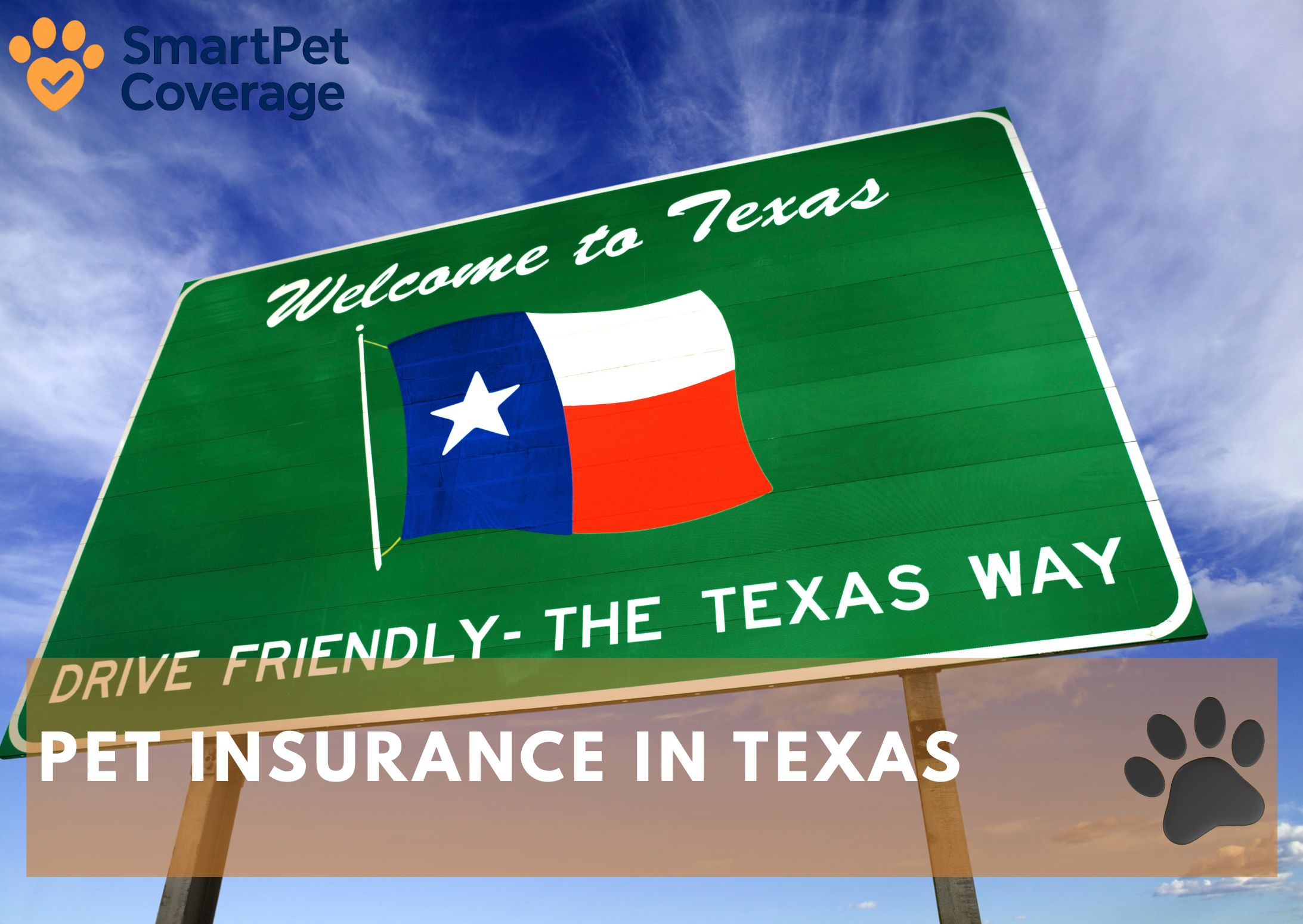 Pet Insurance in Texas