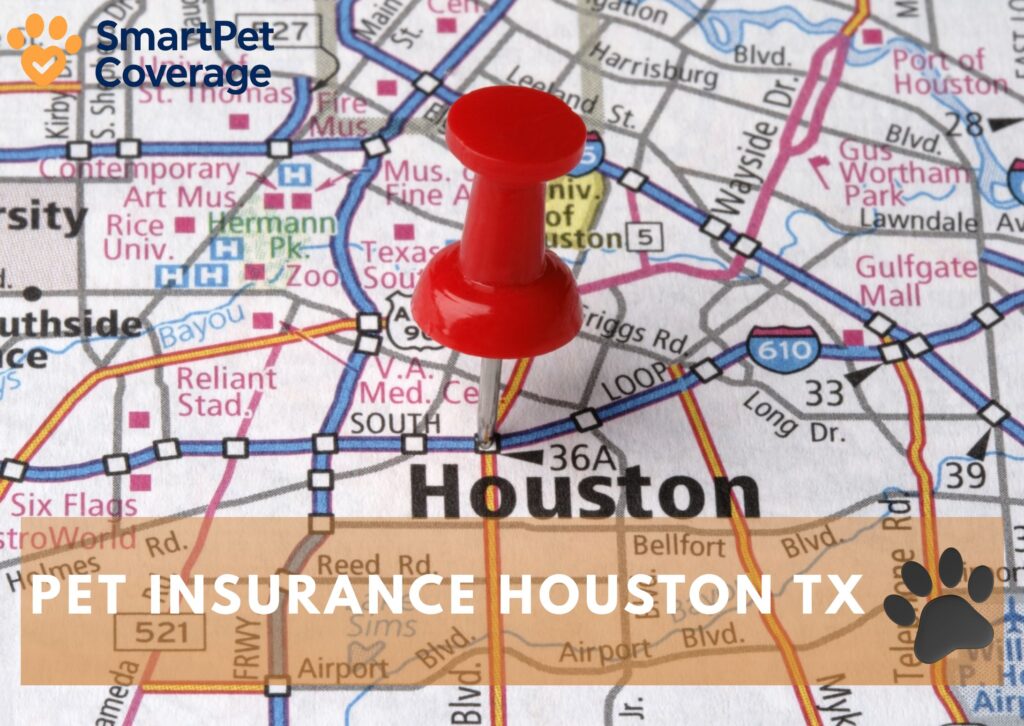 Pet Insurance Houston TX